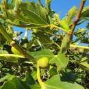 사계절우리집민박 이미지