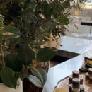 리 앤 브레드 이미지