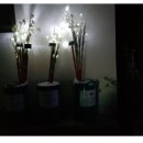 증산초등학교 이미지