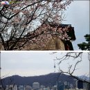 와룡칼국수 이미지