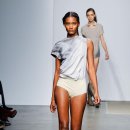 브이피엘 이미지