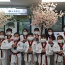 호원 태권도장 이미지