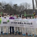 비알디일 이미지