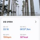 보목동마을회