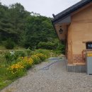 for you부동산공인중개사사무소 이미지