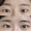 렉스타운 앞 | 대전 속눈썹펌 잘하는 곳 탄방동 부엉이뷰티 방문 후기