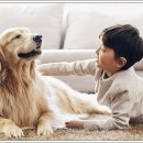 강남-157 이미지