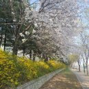 고양대로 이미지