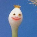오꼬다꼬 네이버블로그