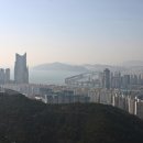 전규인 Daum카페