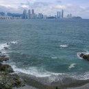 이기대 동생말 이미지