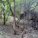 정부청사역 4번출구 이미지