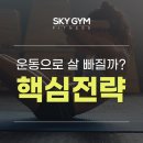 스카이짐 피트니스 괴정점 이미지