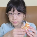 제주브릭스 | 제주귤 13브릭스 고당도! 제주공항 서귀포길 귤창고 후기