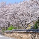 사회복지법인 여수애양병원 이미지