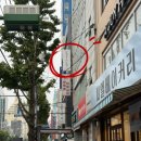 중앙동182 이미지