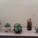 오정구청 이미지