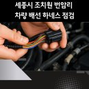 세종서비스기아오토큐(주) 이미지