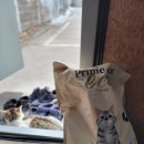 에코사료 | 얼떨결에 길 고양이 집사가 된 땡초맨! 프라임캣에코 고양이 사료 솔직 후기