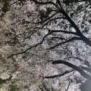 크치치킨 고대본점 이미지