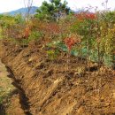 재한농장 이미지