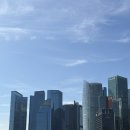 새무지개약국 | 싱가포르 4,5일차 멀라이언 공원, 국립미술관, 칠리크랩, 롱바