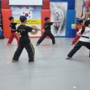 비연무예태권도 이미지