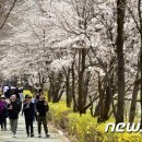 엔하비 뉴스1