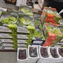 오늘 과일 이미지