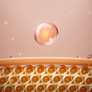 황금개발 이미지