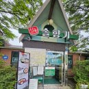 강원도 철원여행 - 찐맛집 솔향기 만두전골, 오색냉채 웨이팅후기