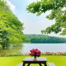 지금여기(now&here) | 지금과 여기 (now.here), 가을이 오면, 가을바람