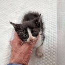 안송로 60 이미지