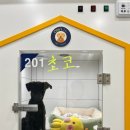 올리스24 명지점 네이버블로그