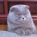 불당동물병원 이미지