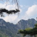 풍류정민박 이미지