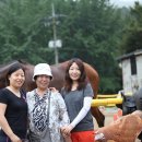 동서울 승마장 이미지