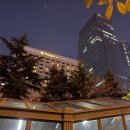 윙호텔 | 중국 샹그릴라 칭다오 호텔 시티 윙 디럭스룸 후기