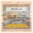 (주)태산관광