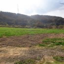 충남부동산공인중개사 이미지