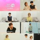 사랑스럽개 이미지