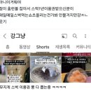 최정 홈런 신기록 공 잡은 아재 근황 이미지