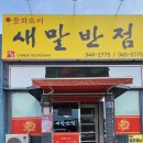 새말반점