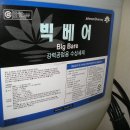 빅베어 이미지