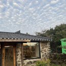 제주:) 오늘 이미지