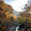 다압면 메아리휴양소 입구 | [10/11월] 지리산 피아골 단풍 축제