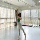 성인발레핏 이미지