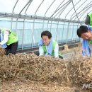 박영태농장 이미지