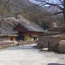 용화사 앞 이미지