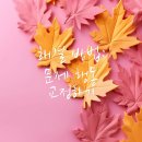 의왕동물병원